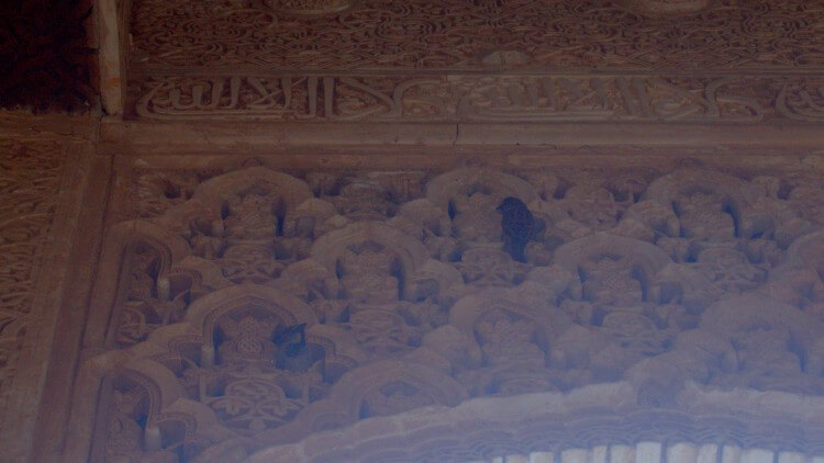 Even the sparrows like the carvings. They had nests everywhere.