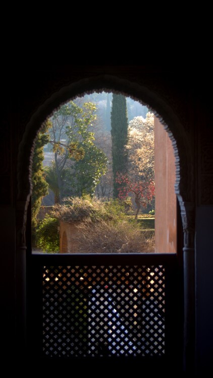View of one of the gardens.