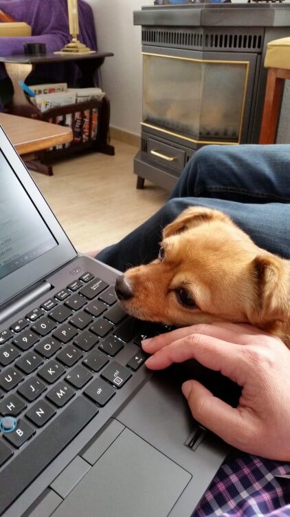 Found a little helper for the blog.