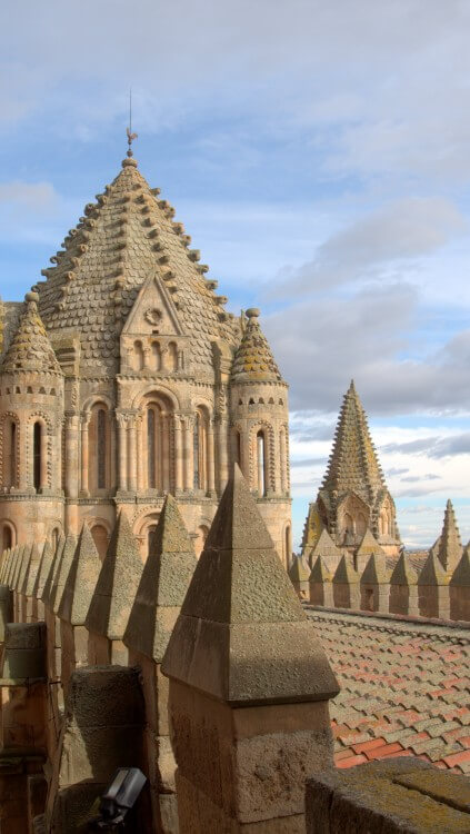 The old cathedral of Salamanca.