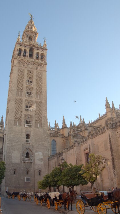 The iconic Giralda tower (along with some expensive horse-carriage rides).