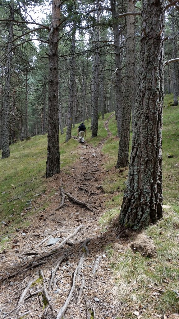 My standard view of hiking, with Pedr waaaaay out in front.