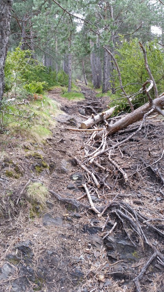 The hiking guide lied to me. Walk along this nice easy section it said. Only 30m climb over 1km it said...