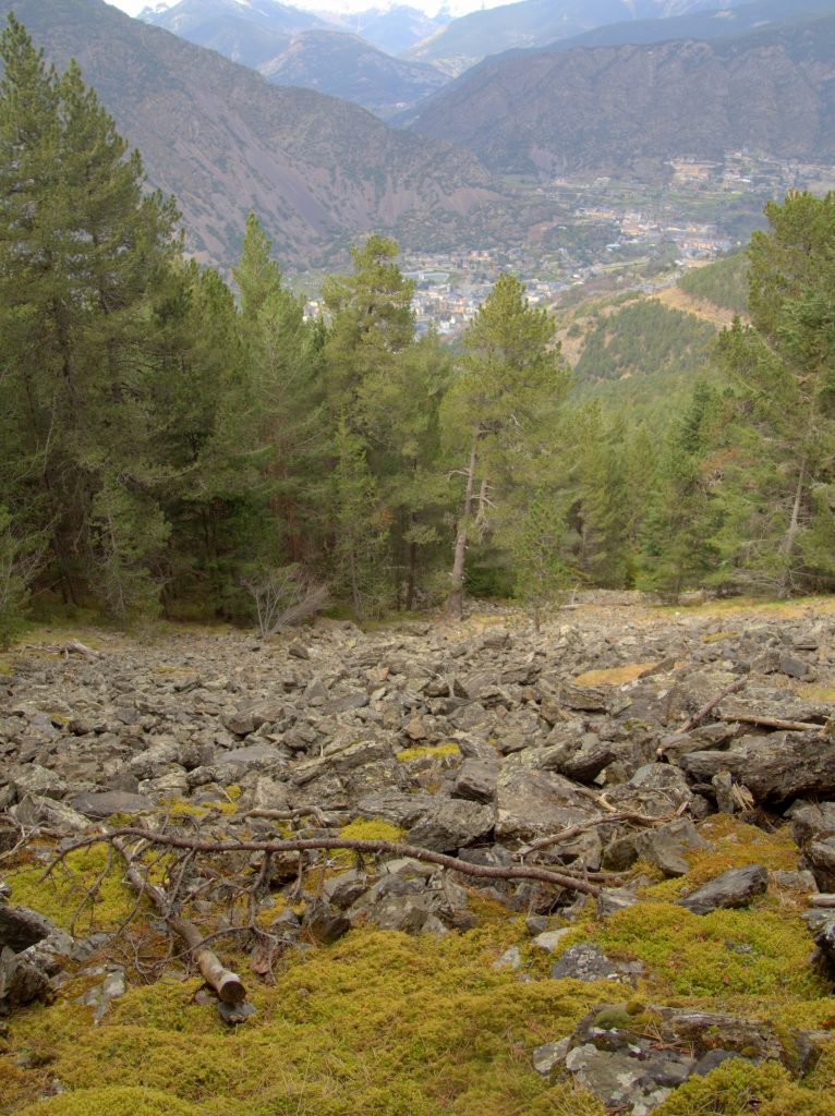 Looking down to the city 700m below.