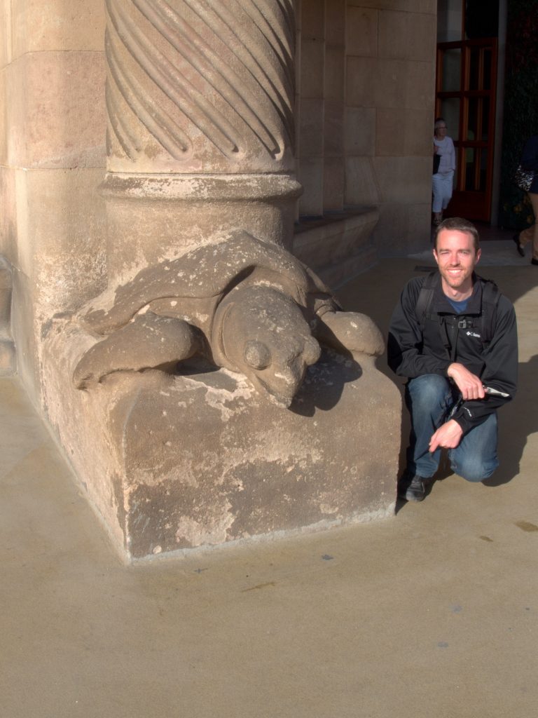 Turtle pillar! And there's one on the other side of the door that's a giant tortoise.