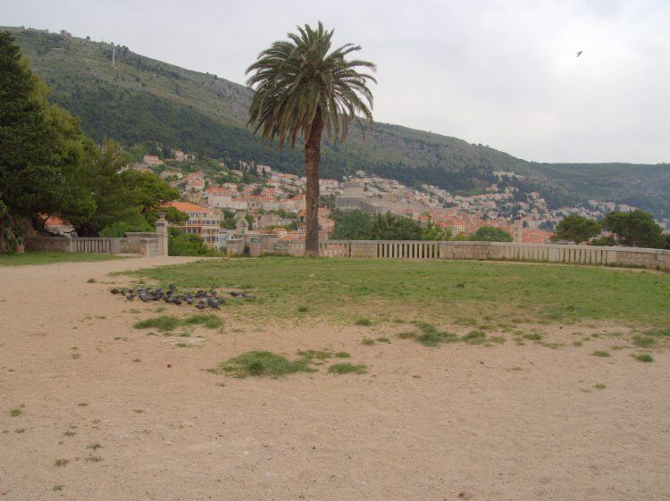 The location of the Purple Wedding, the group of pigeons are marking the spot where the big climax happens. (revenge!)