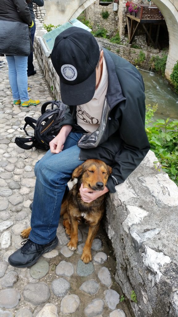 A very happy and relieved dog.