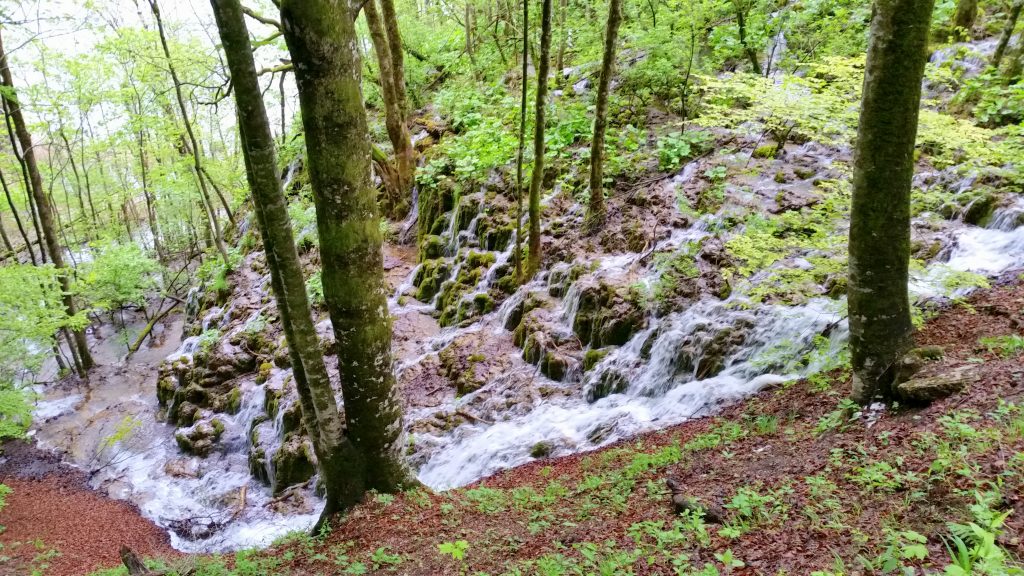 Plitvice Lakes 53 a