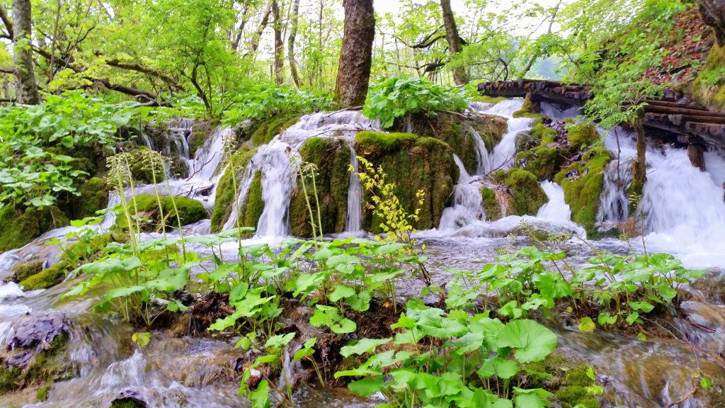 Plitvice Lakes 54 a