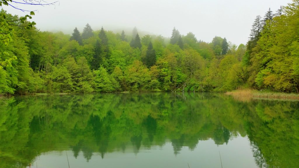 Plitvice Lakes 59 a