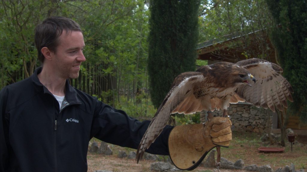 Pedr with Freddie the hawk.