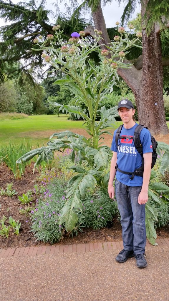 Pedr next to a bloody big thistle plant.