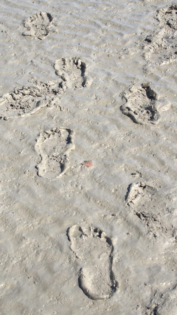Crossing the muddy bay.