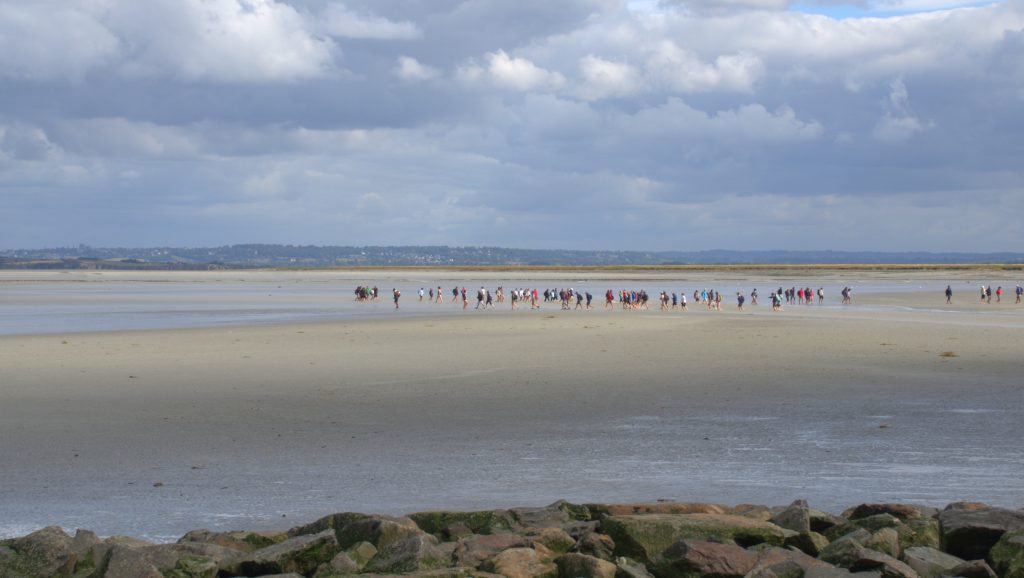 Hundreds of people walk across the sticky, muddy bay at low tide.