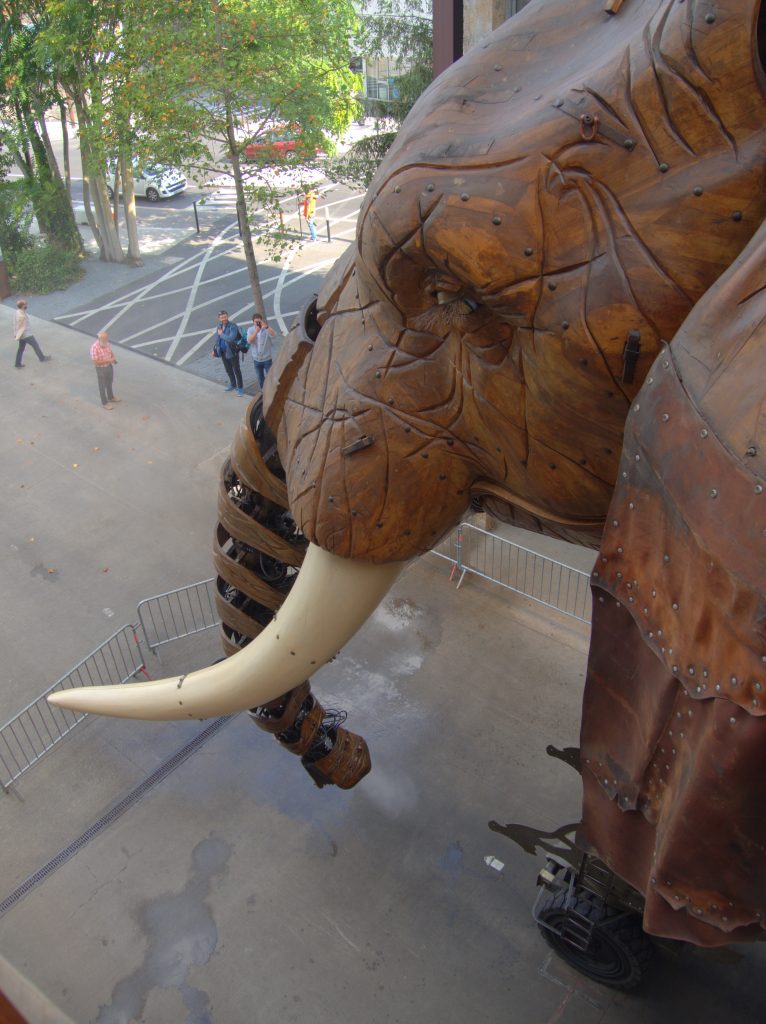 The elephant really is enormous.