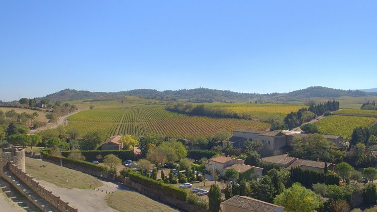 The vineyards of Carcasonne changing colour with the changing season.