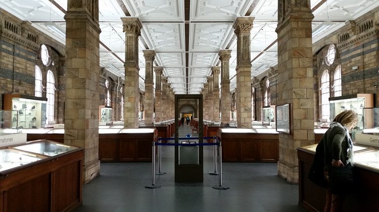 The minerals section of the Natural History Museum.