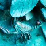 Close up of the bronze doors on the Nativity Facade of the Sagrada Familia.