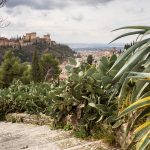 A picture of the view over Granada and the Alhambra palace with prickly pear cacti in the foreground.