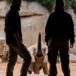 An elephant waiting for a treat from the keepers.
