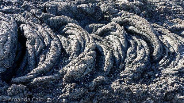 A picture of lava formations in the Galapagos.