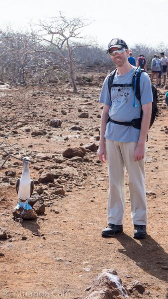 A picture of Pedr next to a blue footed booby.