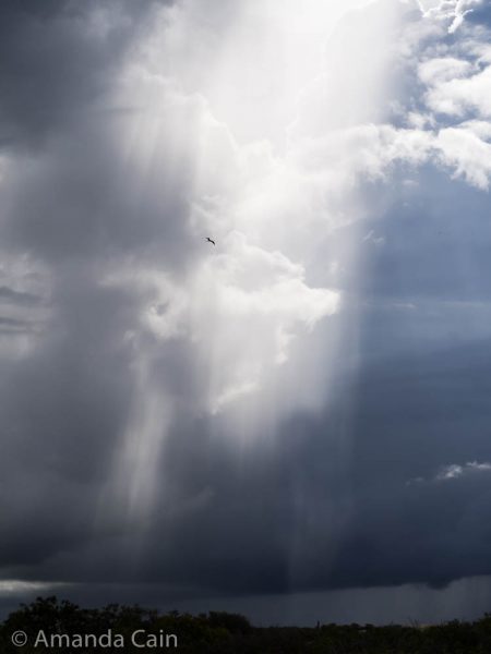 A picture of the sun's rays breaking through rain clouds.