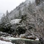 Yosemite after heavy overnight snow.