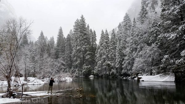 Yosemite after heavy overnight snow.