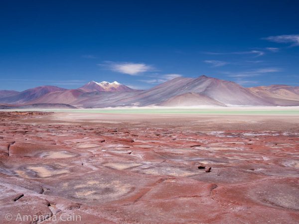 The strange rock formations of Piedras Rojas.