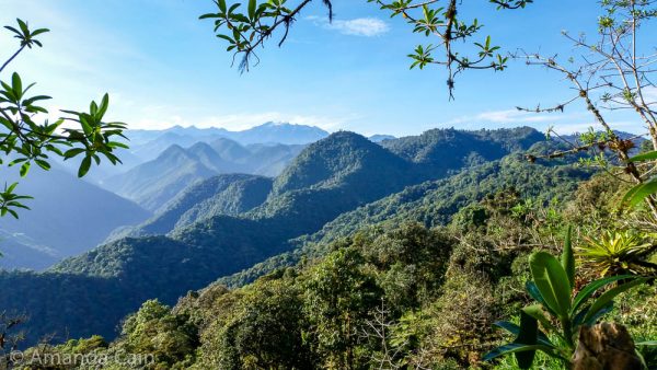 A view over the Bella Vista Cloud Forest.