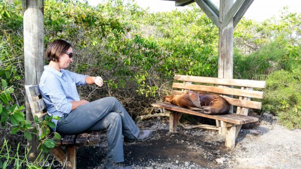 Amanda sitting next to a sleeping sea lion.