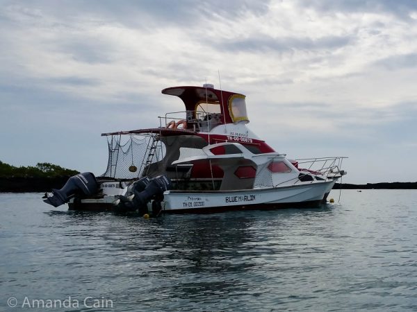 Boats wrapped in netting to keep sea lions out.