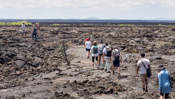 Our group walking across the barren, broken lava fields of Isabela Island.