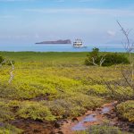 Santa Cruz landscape