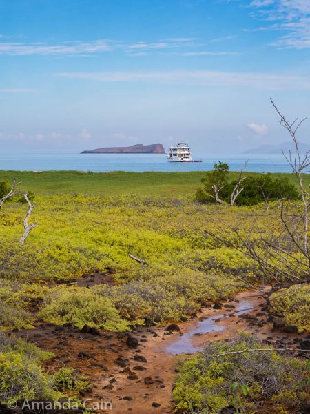 Santa Cruz landscape