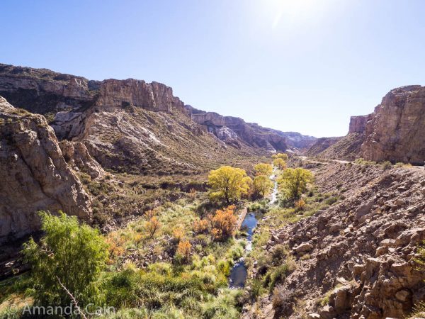 The Atuel Canyon. Mostly dry and desert-like with a narrow ribbon of green following the river.
