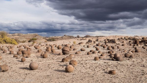 The Ball Field. These stone balls grew underground layer by layer, then erosion came along and took away the sand. Now you have this very strange looking field of stone balls.
