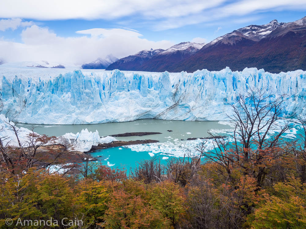 Perito Moreno Glacier at the meeting point of two lakes, and the autumn colours of the trees.