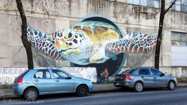 One of the many giant street art murals in Buenos Aires.