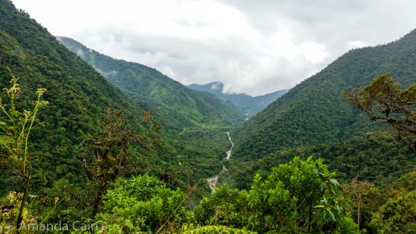The Madre de Dios River flowing from the Andes to the Amazon Rainforest.