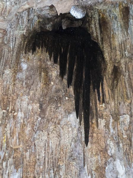 These black limestone formations are known as the Condor's Wing.