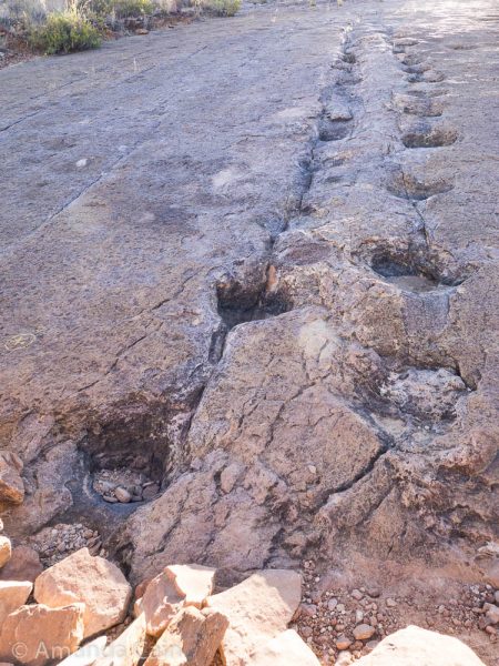 There are plenty of dinosaur footprints like these all over Torotoro.
