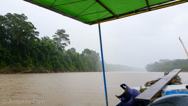 The view from the front seat in the boat, heading up the Manu River in the middle of a tropical downpour.