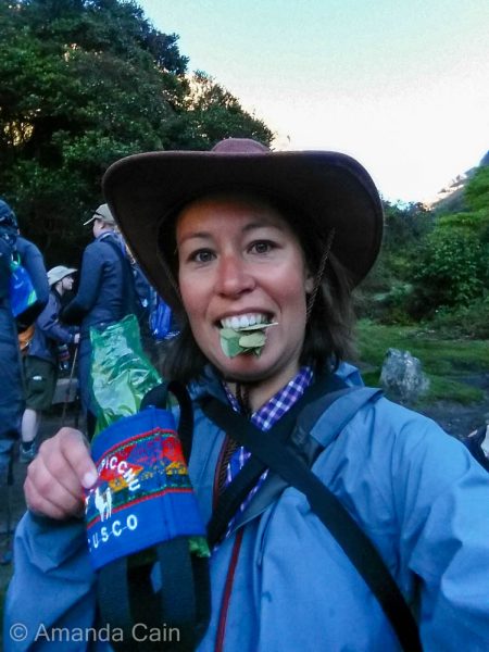 Chewing coca leaves to beat the altitude and hopefully make the hike up to Dead Woman's Pass easier.