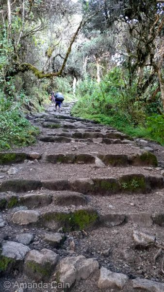 The never-ending stairs of the Inca Trail.