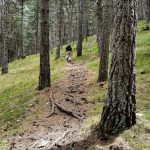 Hiking up the mountains in Andorra.