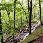 The endless waterfalls of Plitvička Lakes.
