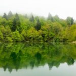Fog rolling in over Plitvička Lakes.