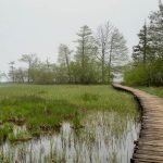 A walkway leading off into foggy Plitvička Lakes.